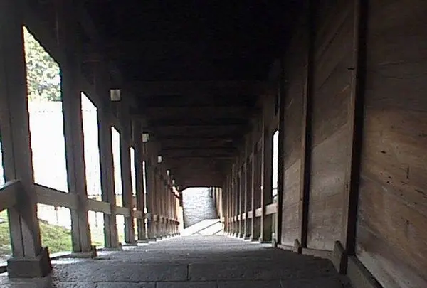 東大寺二月堂の写真・動画_image_302062