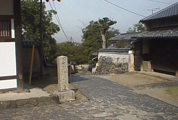 東大寺二月堂の写真・動画_image_302063