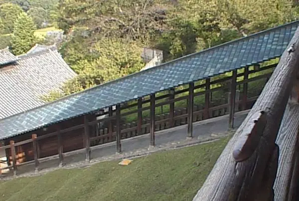 東大寺二月堂の写真・動画_image_302066