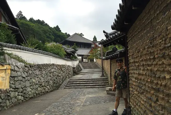 左大仏殿道 石碑の写真・動画_image_302067