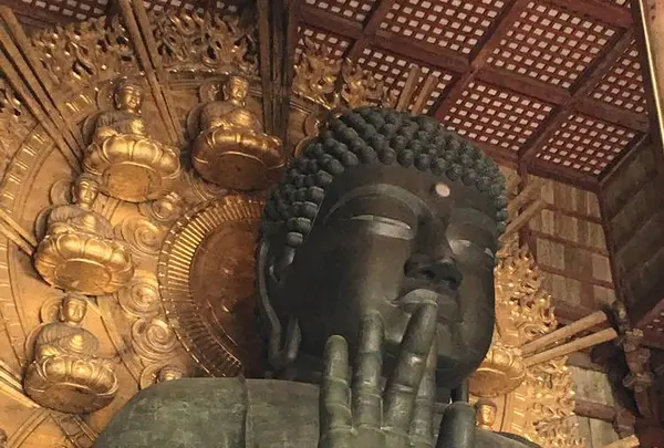 東大寺金堂（大仏殿）の写真・動画_image_302072