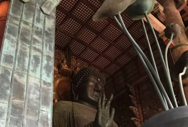 東大寺金堂（大仏殿）の写真・動画_image_302077