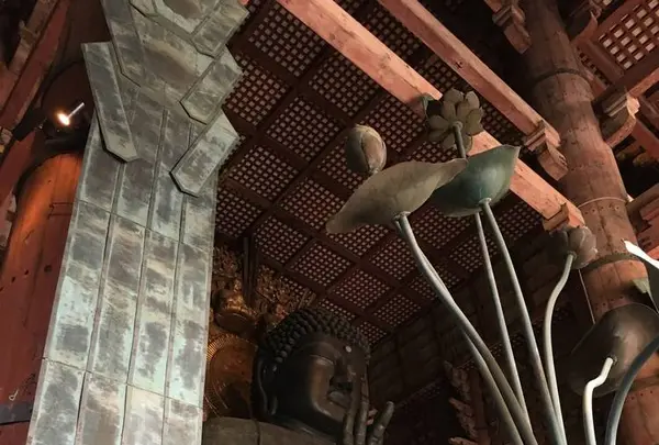 東大寺金堂（大仏殿）の写真・動画_image_302084