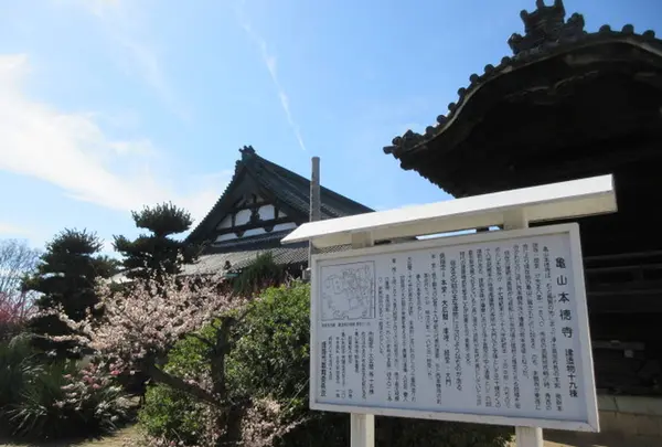 亀山御坊本徳寺の写真・動画_image_302195