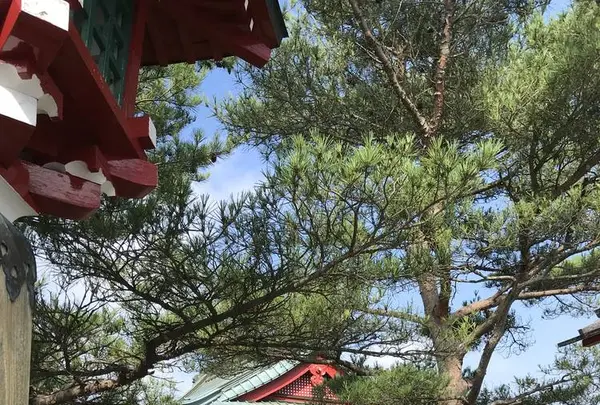 鬼押出し園の写真・動画_image_302205