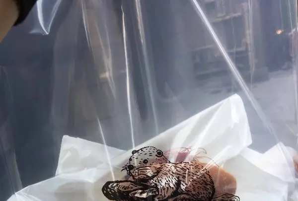 BEAVER BREADの写真・動画_image_302419