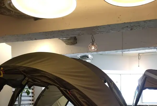 plywoodの写真・動画_image_302421