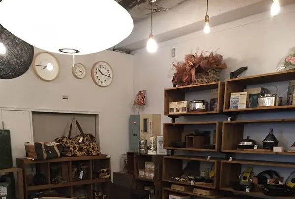 plywoodの写真・動画_image_302422