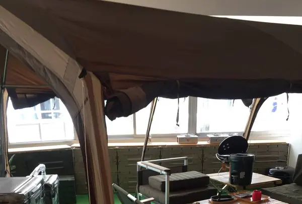 plywoodの写真・動画_image_302423