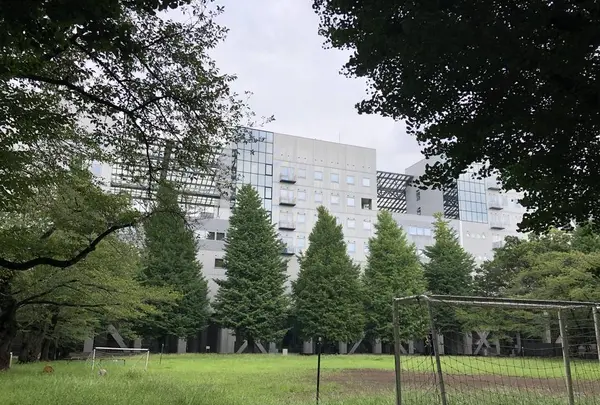 ape cucina naturale アーペ クッチーナ ナチュラーレの写真・動画_image_302493