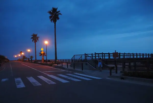 月の沙漠記念館の写真・動画_image_302621