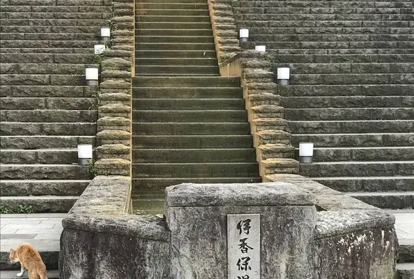 伊香保温泉街の写真・動画_image_302623