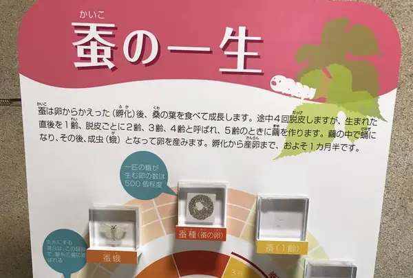 富岡製糸場の写真・動画_image_303092
