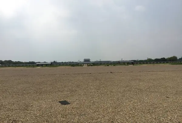 平城宮跡 第一次大極殿の写真・動画_image_303308