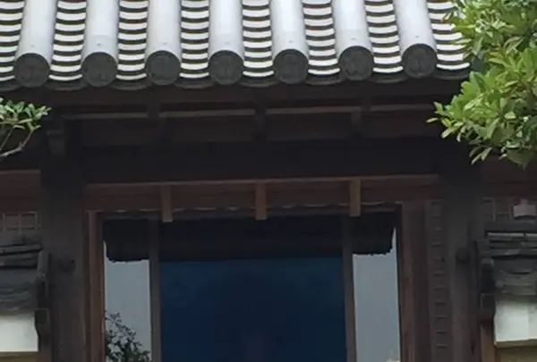 唐招提寺の写真・動画_image_303324