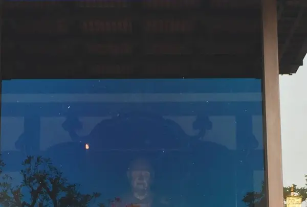 唐招提寺の写真・動画_image_303325