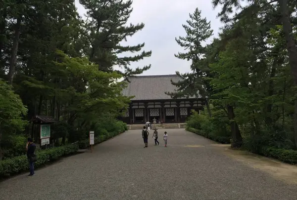 唐招提寺の写真・動画_image_303328