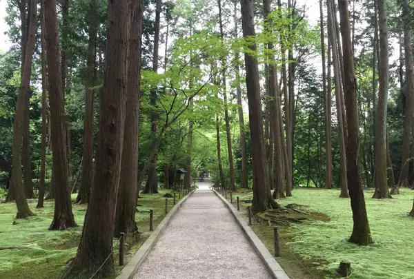 唐招提寺 奥の院（鑑真和上廟所）の写真・動画_image_303338