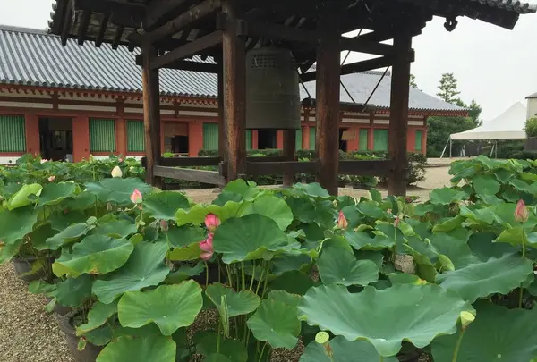 薬師寺の写真・動画_image_303344