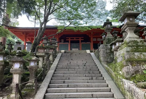 榎本神社の写真・動画_image_303498