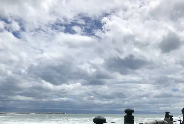 桂浜の写真・動画_image_303622