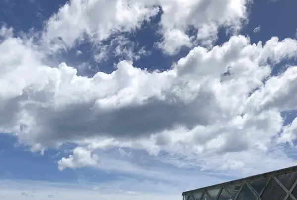 Sea Houseの写真・動画_image_303626