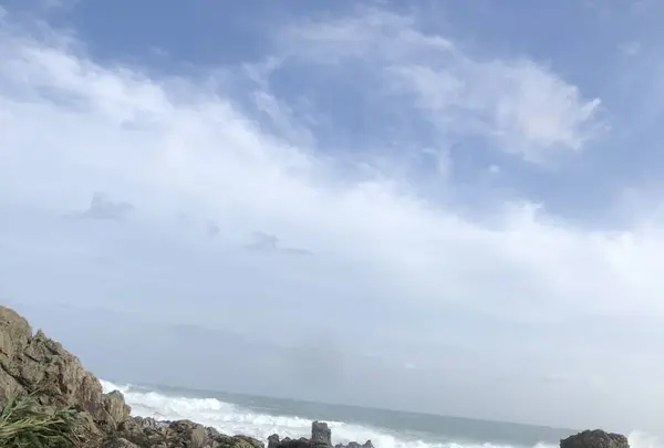 室戸岬の写真・動画_image_303627