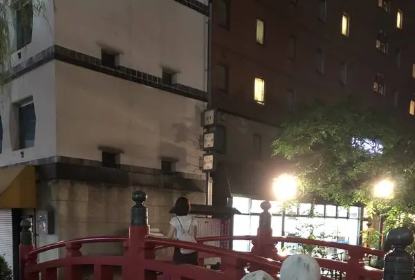 はりまや橋の写真・動画_image_303706