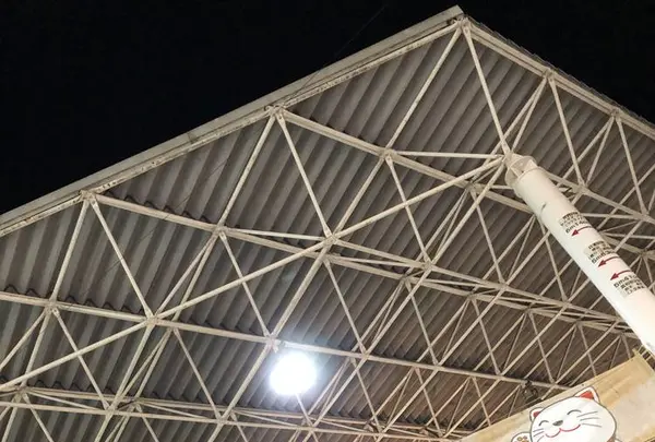 ひろめ市場の写真・動画_image_303712