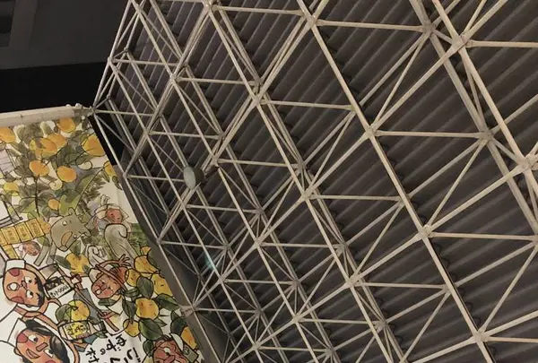 ひろめ市場の写真・動画_image_303713