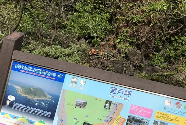 室戸岬の写真・動画_image_303716