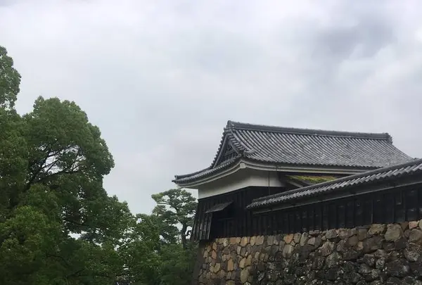 松江城の写真・動画_image_303759