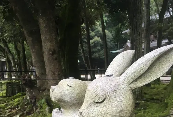 出雲大社の写真・動画_image_303764