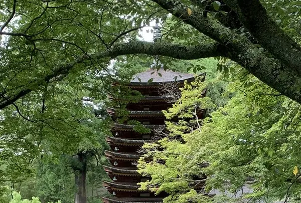 談山神社の写真・動画_image_303779