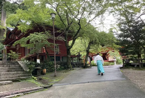 談山神社の写真・動画_image_303784