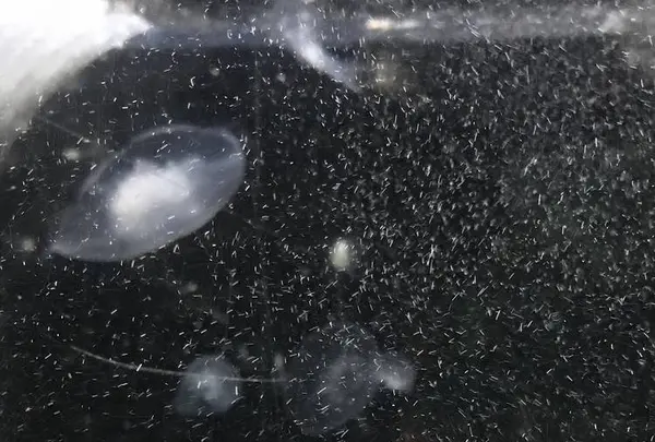 京都大学白浜水族館の写真・動画_image_303899