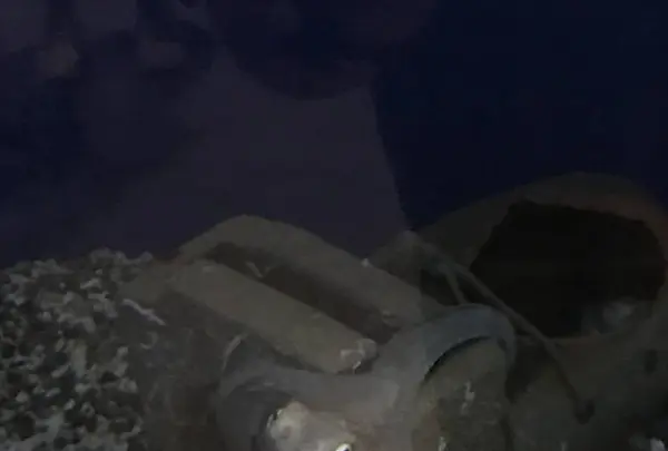 京都大学白浜水族館の写真・動画_image_303900