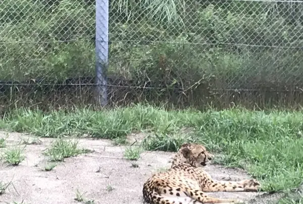 アドベンチャーワールドの写真・動画_image_303929