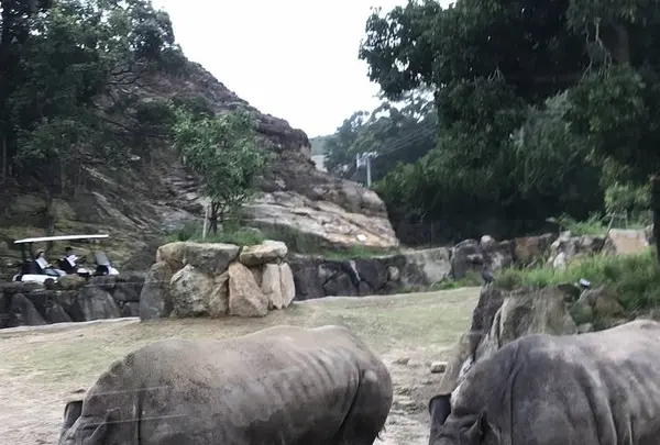 アドベンチャーワールドの写真・動画_image_303930