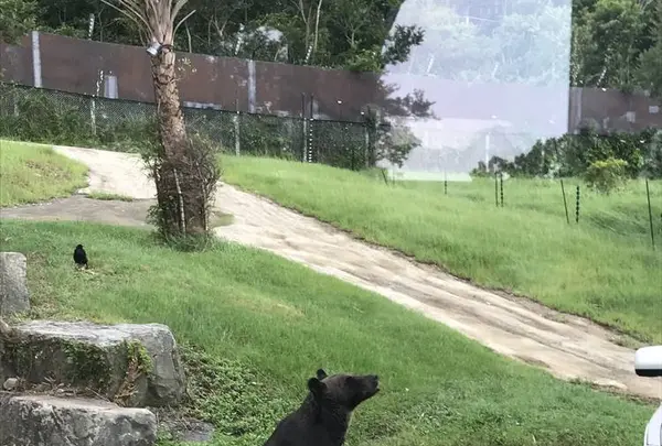 アドベンチャーワールドの写真・動画_image_303931