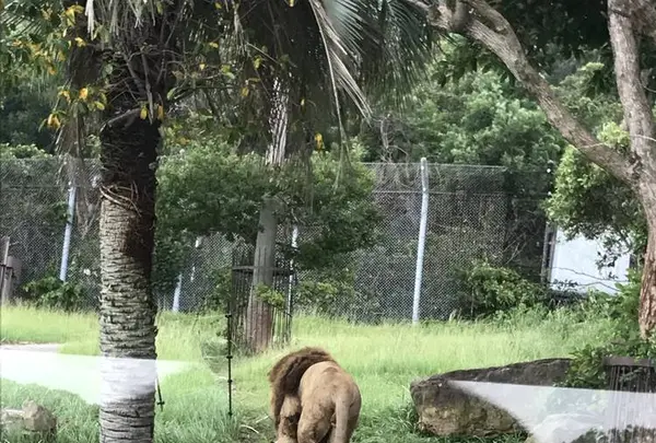 アドベンチャーワールドの写真・動画_image_303932