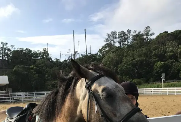 アドベンチャーワールドの写真・動画_image_303953