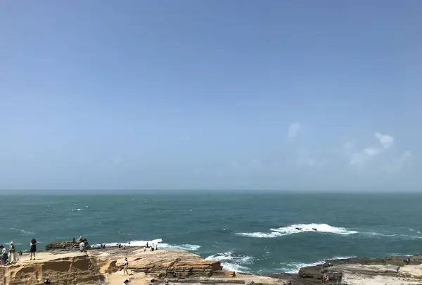 千畳敷の写真・動画_image_303965