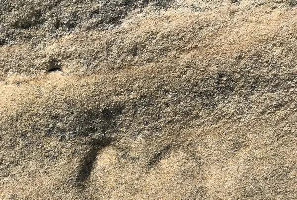 千畳敷の写真・動画_image_303967