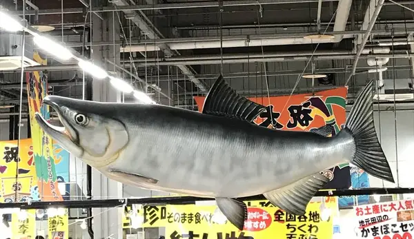 とれとれ市場の写真・動画_image_303969