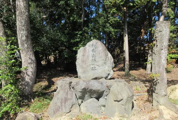 薪神社の写真・動画_image_304002