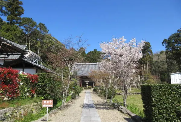 大御堂観音寺の写真・動画_image_304004