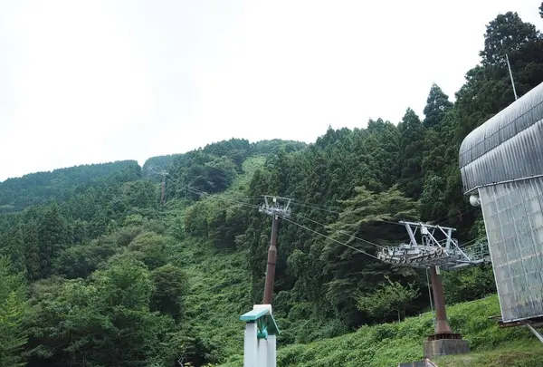 獅子吼高原の写真・動画_image_304023