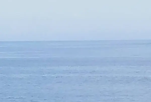 初島ダイビングセンターの写真・動画_image_304186
