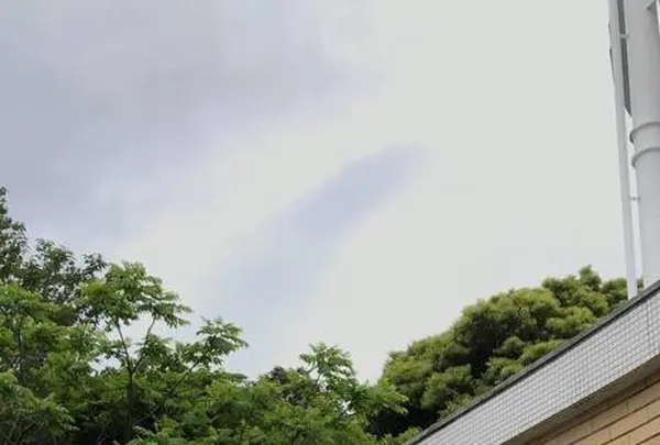 初島灯台の写真・動画_image_304203